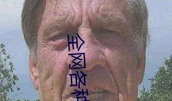 吃瓜网在线观看视频